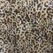 1 Yard Leopard Print Swimwear Tricot Fabric Stretch Polyester Spandex 58/60 Inch Wide